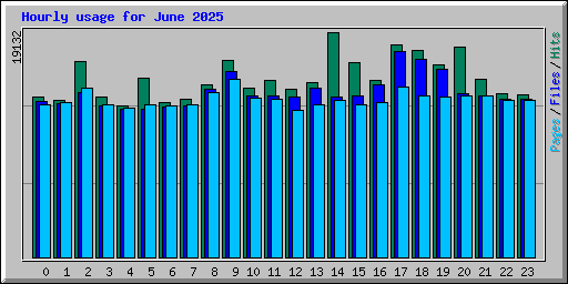 Hourly usage for June 2025