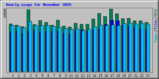 Hourly usage for November 2025